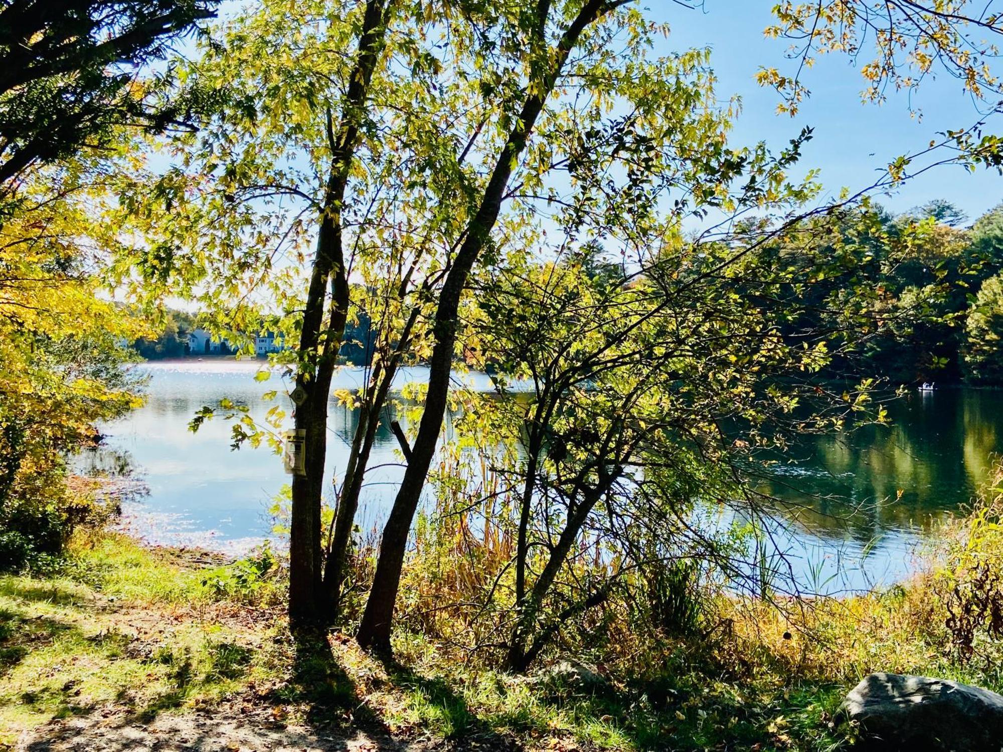 Clear Pond Suite Plymouth Buitenkant foto