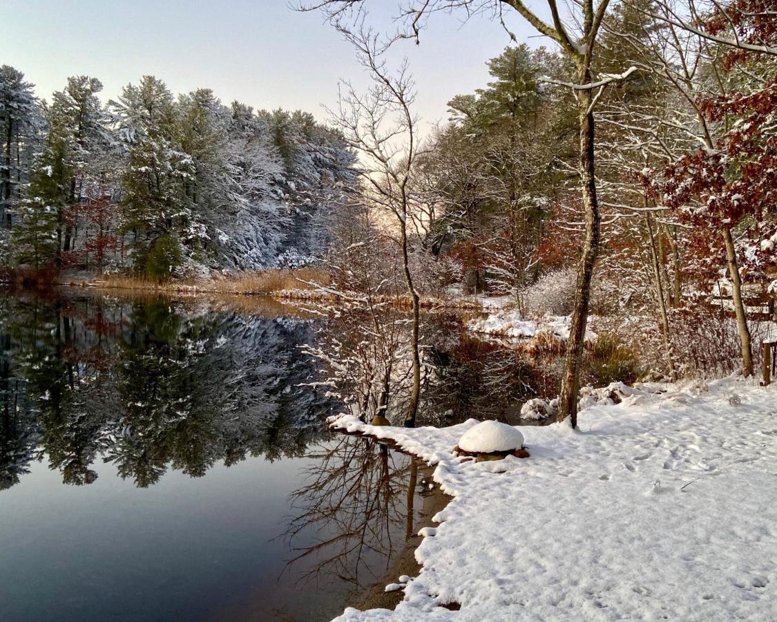 Clear Pond Suite Plymouth Buitenkant foto