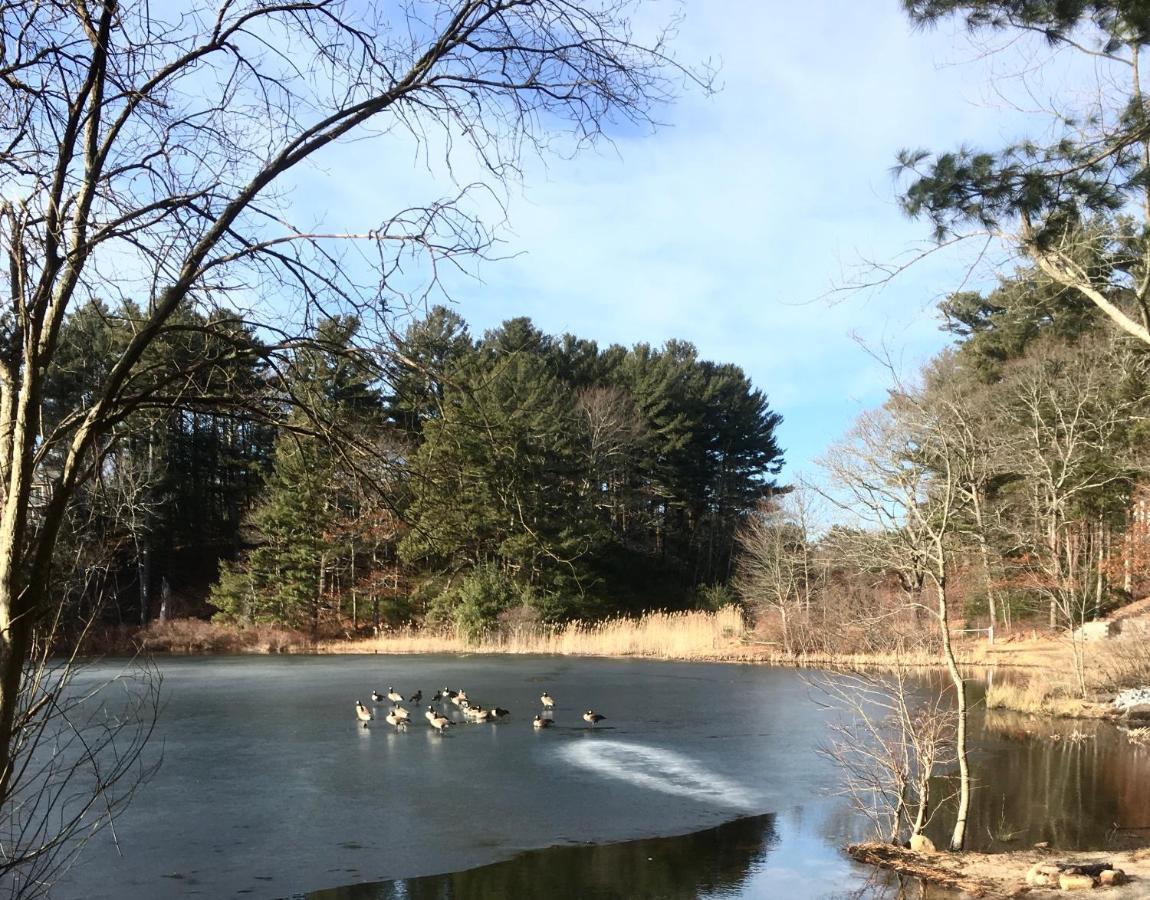 Clear Pond Suite Plymouth Buitenkant foto